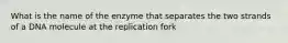 What is the name of the enzyme that separates the two strands of a DNA molecule at the replication fork