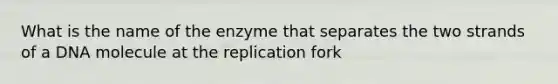 What is the name of the enzyme that separates the two strands of a DNA molecule at the replication fork