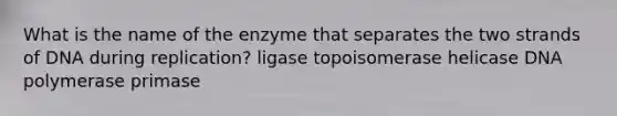 What is the name of the enzyme that separates the two strands of DNA during replication? ligase topoisomerase helicase DNA polymerase primase