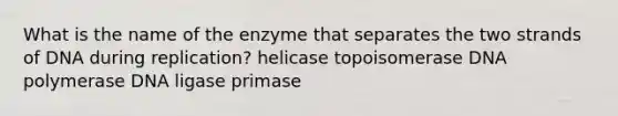 What is the name of the enzyme that separates the two strands of DNA during replication? helicase topoisomerase DNA polymerase DNA ligase primase