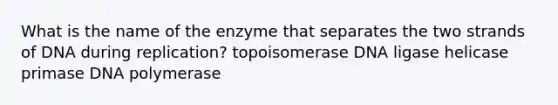 What is the name of the enzyme that separates the two strands of DNA during replication? topoisomerase DNA ligase helicase primase DNA polymerase