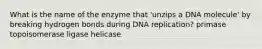 What is the name of the enzyme that 'unzips a DNA molecule' by breaking hydrogen bonds during DNA replication? primase topoisomerase ligase helicase