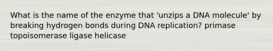 What is the name of the enzyme that 'unzips a DNA molecule' by breaking hydrogen bonds during DNA replication? primase topoisomerase ligase helicase