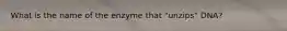 What is the name of the enzyme that "unzips" DNA?