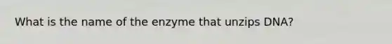 What is the name of the enzyme that unzips DNA?