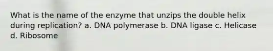 What is the name of the enzyme that unzips the double helix during replication? a. DNA polymerase b. DNA ligase c. Helicase d. Ribosome