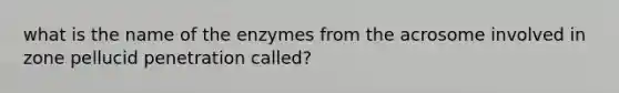 what is the name of the enzymes from the acrosome involved in zone pellucid penetration called?