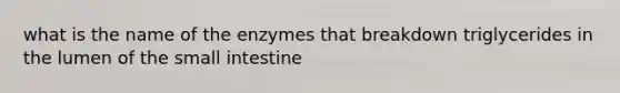 what is the name of the enzymes that breakdown triglycerides in the lumen of the small intestine