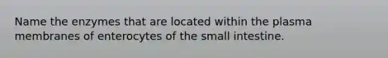 Name the enzymes that are located within the plasma membranes of enterocytes of the small intestine.