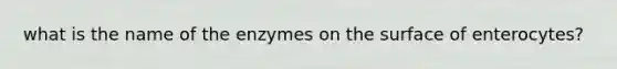 what is the name of the enzymes on the surface of enterocytes?