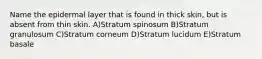 Name the epidermal layer that is found in thick skin, but is absent from thin skin. A)Stratum spinosum B)Stratum granulosum C)Stratum corneum D)Stratum lucidum E)Stratum basale