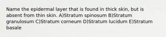 Name the epidermal layer that is found in thick skin, but is absent from thin skin. A)Stratum spinosum B)Stratum granulosum C)Stratum corneum D)Stratum lucidum E)Stratum basale