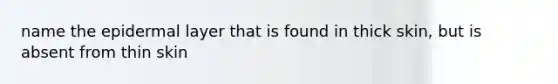 name the epidermal layer that is found in thick skin, but is absent from thin skin