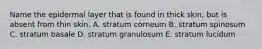 Name the epidermal layer that is found in thick skin, but is absent from thin skin. A. stratum corneum B. stratum spinosum C. stratum basale D. stratum granulosum E. stratum lucidum