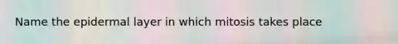 Name the epidermal layer in which mitosis takes place