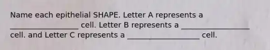 Name each epithelial SHAPE. Letter A represents a __________________ cell. Letter B represents a __________________ cell. and Letter C represents a ___________________ cell.