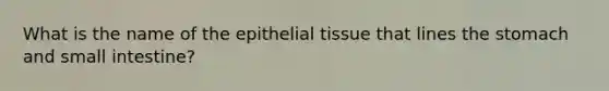 What is the name of the epithelial tissue that lines the stomach and small intestine?