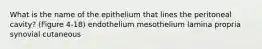 What is the name of the epithelium that lines the peritoneal cavity? (Figure 4-18) endothelium mesothelium lamina propria synovial cutaneous