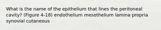 What is the name of the epithelium that lines the peritoneal cavity? (Figure 4-18) endothelium mesothelium lamina propria synovial cutaneous