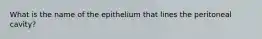 What is the name of the epithelium that lines the peritoneal cavity?