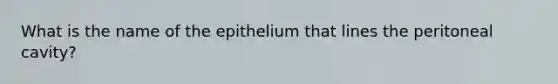 What is the name of the epithelium that lines the peritoneal cavity?