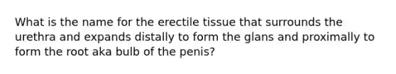 What is the name for the erectile tissue that surrounds the urethra and expands distally to form the glans and proximally to form the root aka bulb of the penis?