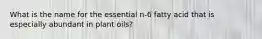 What is the name for the essential n-6 fatty acid that is especially abundant in plant oils?