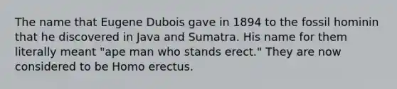 The name that Eugene Dubois gave in 1894 to the fossil hominin that he discovered in Java and Sumatra. His name for them literally meant "ape man who stands erect." They are now considered to be Homo erectus.