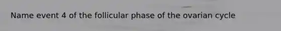 Name event 4 of the follicular phase of the ovarian cycle