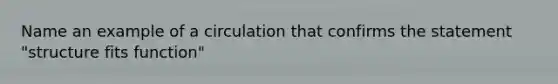 Name an example of a circulation that confirms the statement "structure fits function"