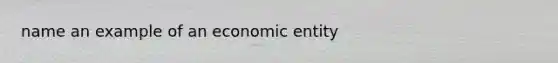 name an example of an economic entity