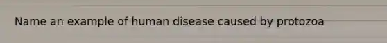 Name an example of human disease caused by protozoa