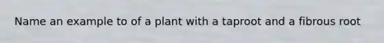 Name an example to of a plant with a taproot and a fibrous root