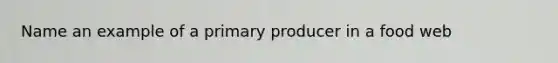 Name an example of a primary producer in a food web