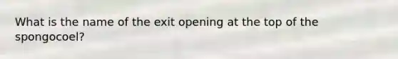 What is the name of the exit opening at the top of the spongocoel?