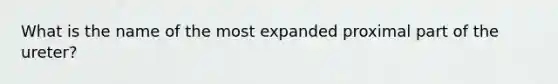 What is the name of the most expanded proximal part of the ureter?