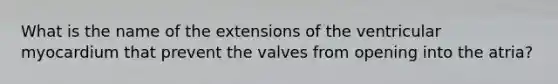 What is the name of the extensions of the ventricular myocardium that prevent the valves from opening into the atria?