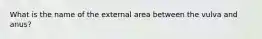 What is the name of the external area between the vulva and anus?