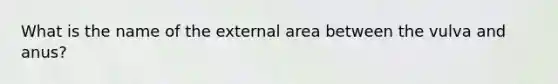 What is the name of the external area between the vulva and anus?