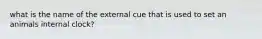 what is the name of the external cue that is used to set an animals internal clock?