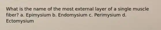 What is the name of the most external layer of a single muscle fiber? a. Epimysium b. Endomysium c. Perimysium d. Ectomysium