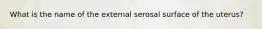 What is the name of the external serosal surface of the uterus?