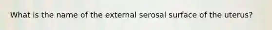 What is the name of the external serosal surface of the uterus?