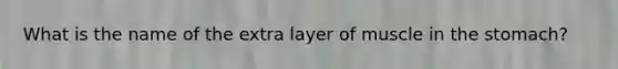 What is the name of the extra layer of muscle in the stomach?