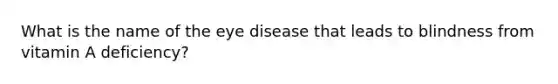 What is the name of the eye disease that leads to blindness from vitamin A deficiency?