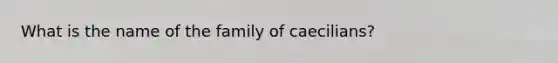 What is the name of the family of caecilians?