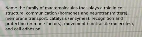 Name the family of macromolecules that plays a role in cell structure, communication (hormones and neurotransmitters), membrane transport, catalysis (enzymes), recognition and protection (immune factors), movement (contractile molecules), and cell adhesion.