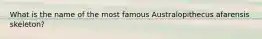 What is the name of the most famous Australopithecus afarensis skeleton?
