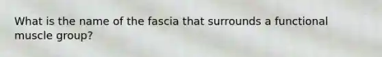 What is the name of the fascia that surrounds a functional muscle group?