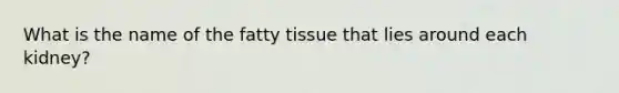 What is the name of the fatty tissue that lies around each kidney?